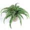 32" Boston Fern Plant with 48 Realistic Silk Fronds – Lush Faux Greenery for Home & Office